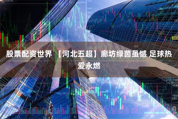 股票配资世界 【河北五超】廊坊绿茵虽憾 足球热爱永燃